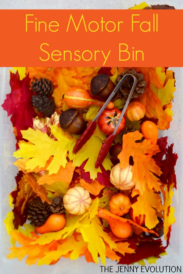 Fine Motor Fall Sensory Bin + Visual Skills! on The Jenny Evolution